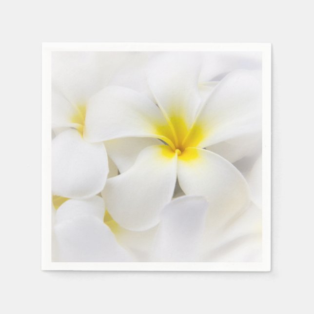 Plumeria Flowers Hawaiian Frangipani Blommigt Flow Pappersservett (Framsidan)