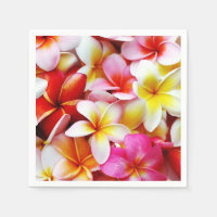 Plumeria Flowers Hawaiian Frangipani Blommigt