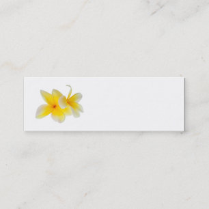 Plumeria Flowers Hawaiian White Gult Frangipani Mini Visitkort