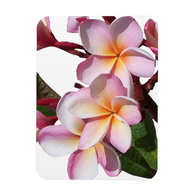 Plumeria Flowers Premium Magnet (Vertikal)