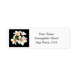 Plumeria Flowers Returetiketter Returadress Etikett