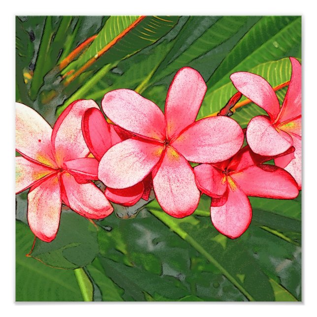 Plumeria Fototryck (Framsidan)