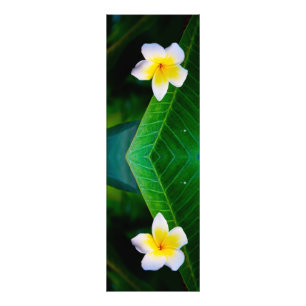 plumeria fototryck