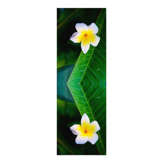 plumeria fototryck (Framsidan)