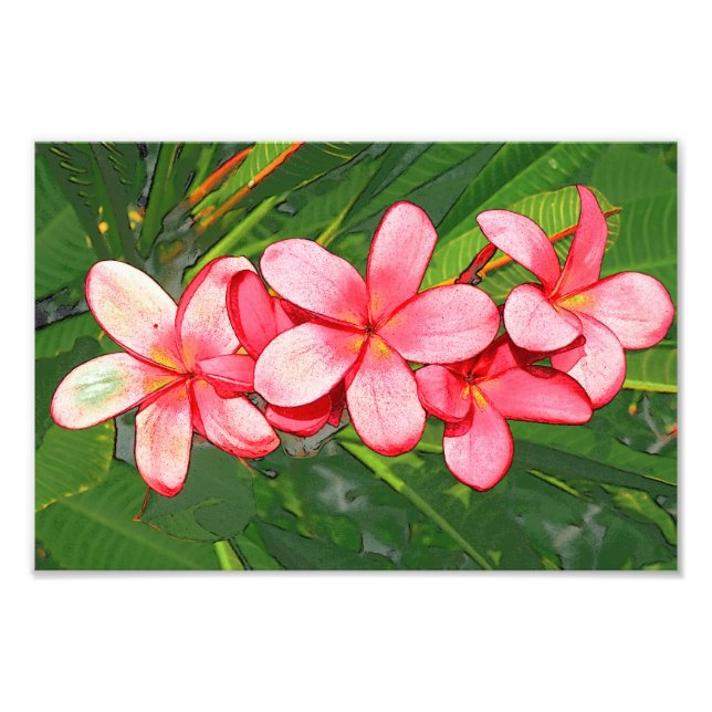 plumeria fototryck (Framsidan)