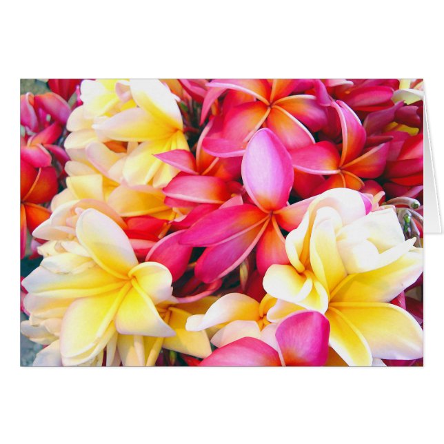 Plumeria Frangipani Blommigt Photo Digital Paintin Hälsningskort (Framsidan Horizontal)