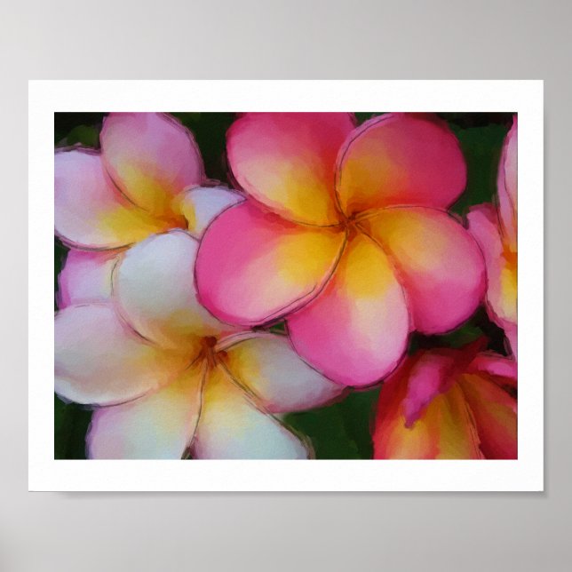 Plumeria Frangipani Flowers Watercolor Sketch Poster (Framsidan)