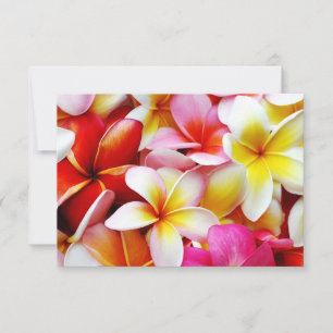 Plumeria Frangipani Hawaii Flower Customized