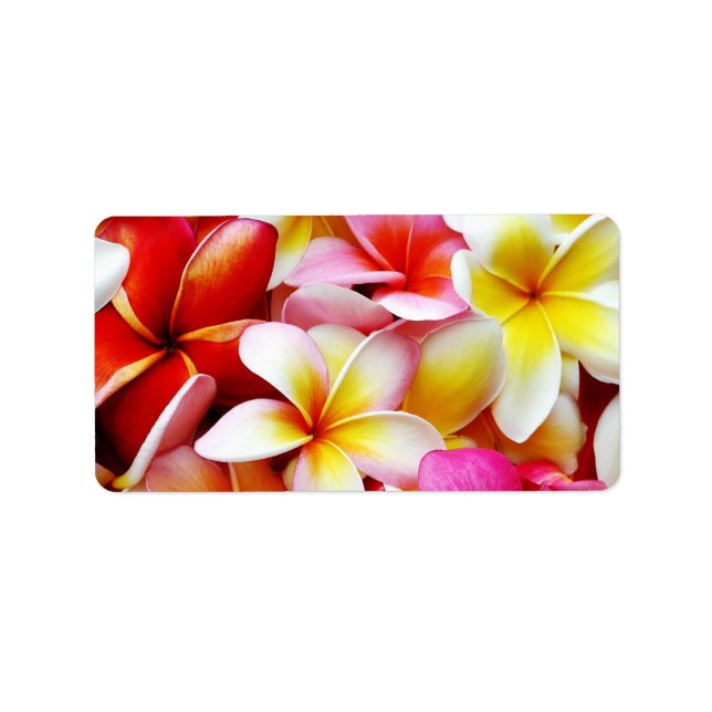 Plumeria Frangipani Hawaii Flower Customized Adressetikett (Framsidan)