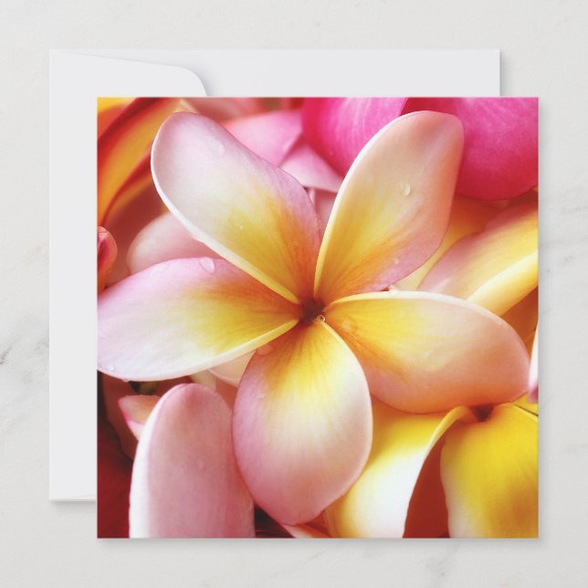 Plumeria Frangipani Hawaii Flower Customized Blank (Framsida)