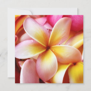 Plumeria Frangipani Hawaii Flower Customized Blank
