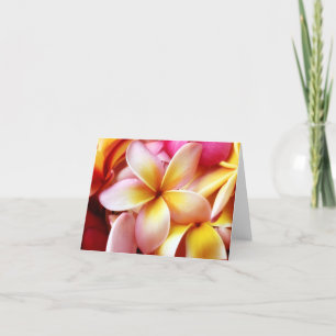 Plumeria Frangipani Hawaii Flower Customized Blank Kort