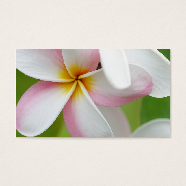 Plumeria Frangipani Hawaii Flower Customized Blank Visitkort (Framsidan)