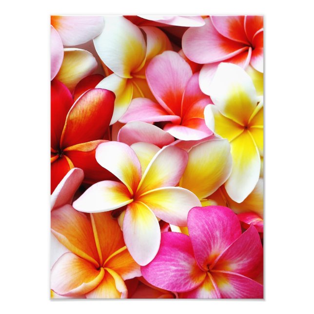 Plumeria Frangipani Hawaii Flower Customized Fototryck (Framsidan)