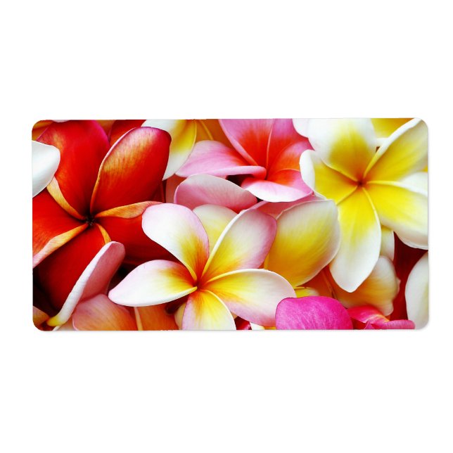 Plumeria Frangipani Hawaii Flower Customized Fraktsedel (Framsidan)