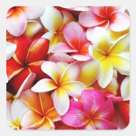 Plumeria Frangipani Hawaii Flower Customized Fyrkantigt Klistermärke
