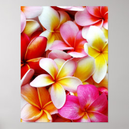 Plumeria Frangipani Hawaii Flower Customized Poster