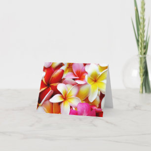 Plumeria Frangipani Hawaii Flower Hawaiian Flowers Kort
