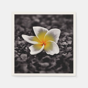 Plumeria Frangipani Hawaii Flower Pappersservett