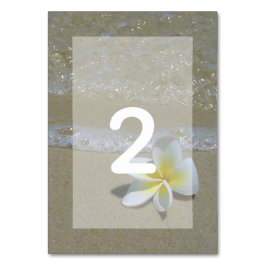 Plumeria Frangipani på Sand Bröllop Bordsnummer