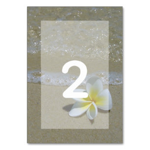 Plumeria Frangipani på Sand Bröllop Bordsnummer