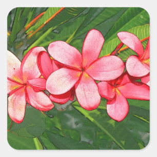 plumeria fyrkantigt klistermärke