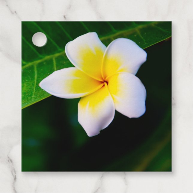 plumeria gåvor etiketter (Framsida)