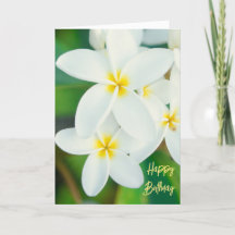 Plumeria Grattis på födelsedagen Card