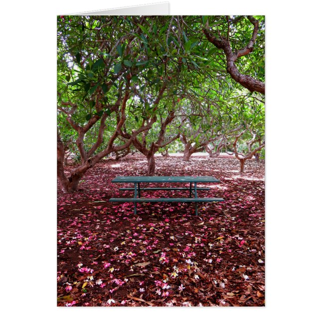 Plumeria Grove Hälsningskort (Framsidan)