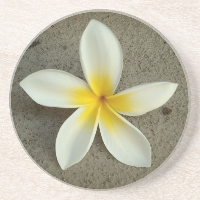 Plumeria hawaii-blomman underlägg (Framsidan)