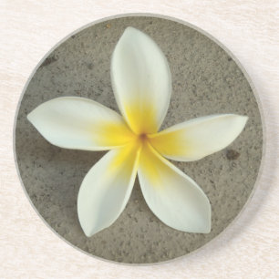 Plumeria hawaii-blomman underlägg sandsten