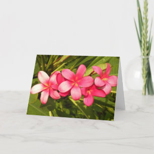 Plumeria Helgkort