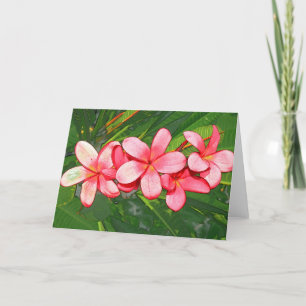 Plumeria Helgkort