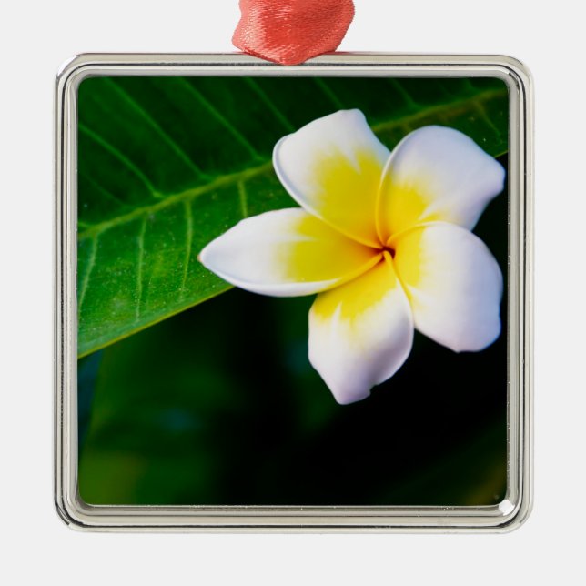 Plumeria Julgransprydnad Metall (Framsidan)