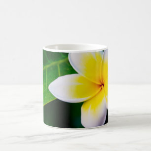 plumeria kaffemugg