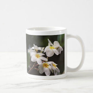 plumeria kaffemugg