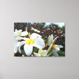 Plumeria Kanvastryck 1