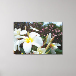 Plumeria Kanvastryck 1