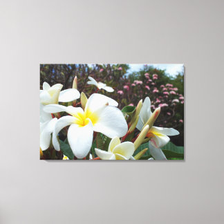 Plumeria Kanvastryck 1