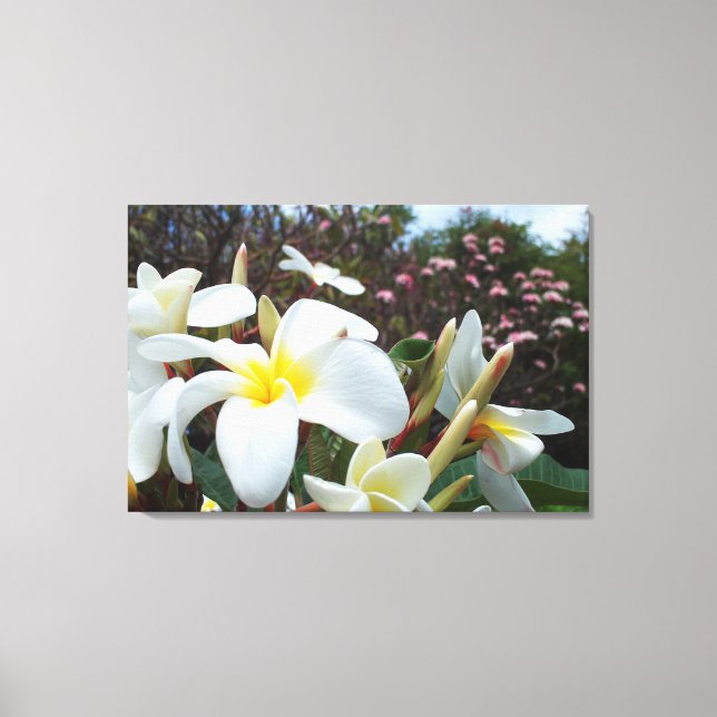 Plumeria Kanvastryck 1 (Framsida)
