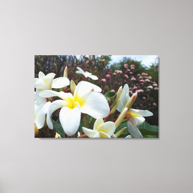 Plumeria Kanvastryck 1 (Framsida)