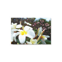 Plumeria Kanvastryck 1