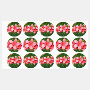 plumeria klistermärke