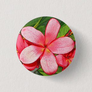 plumeria knapp