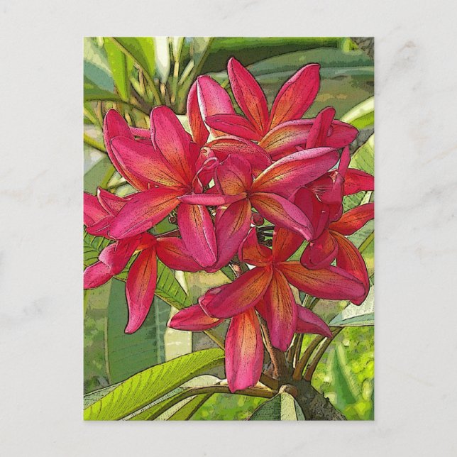 Plumeria - Konstnärlig design på vykort (Framsida)