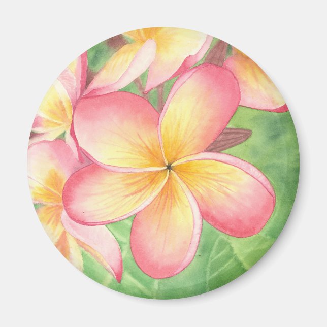 Plumeria Magnet (Framsidan)