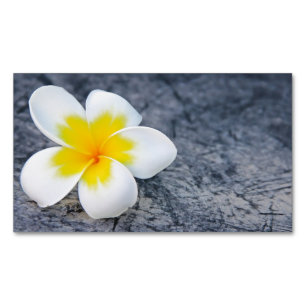 plumeria magnetiska visitkort