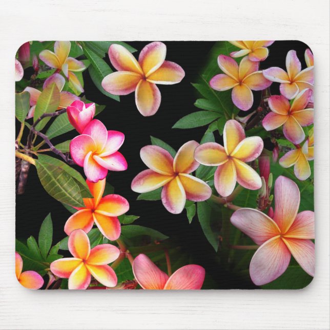 Plumeria Mouse Pad Musmatta (Framsidan)