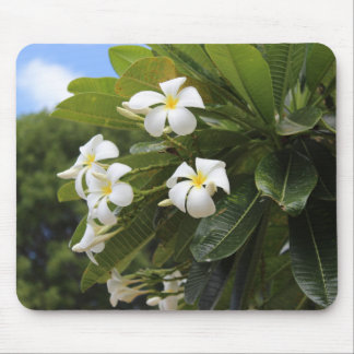 Plumeria Mousepad Musmatta
