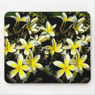 Plumeria Mouspad Musmatta